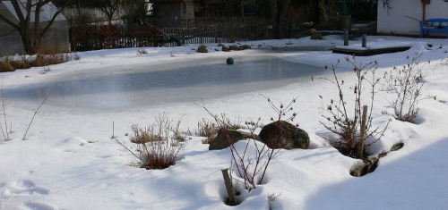 Schnee am Teich