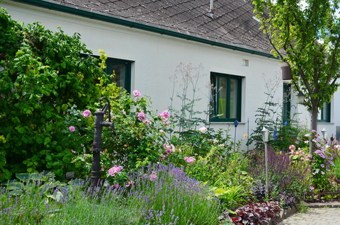 Haus in Velm-Götzendorf zu kaufen
